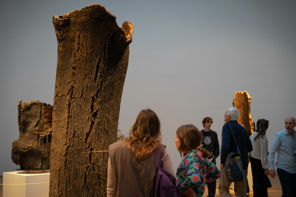 Komentovaná prohlídka výstav Beyond the Sound a&nbsp;Zvukové krajiny Brna